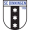 Биннинген