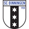 Біннінген