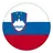 Словения U-19