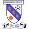 Cleethorpes Town FC