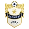 FK Radnički Pirot