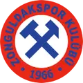 Zonguldakspor