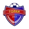 FC غوركي