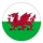 Pays de Galles U17