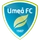 Umea FC