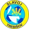 FK Slavoj Trebischau