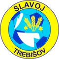 FK Slavoj Trebisov