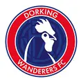 Dorking Wanderers Rencontres