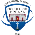 CS Tricolorul Breaza